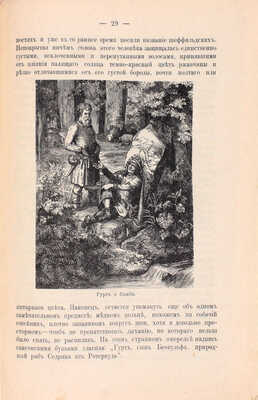 Полный комплект из 12 томов серии «Иллюстрированные романы Вальтера Скотта»: